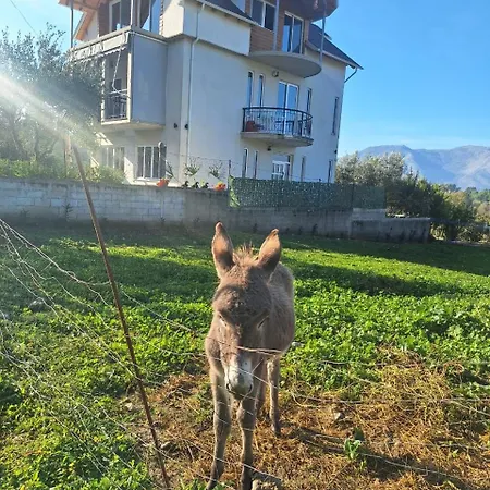 Farm-sarf Libohova Libohove