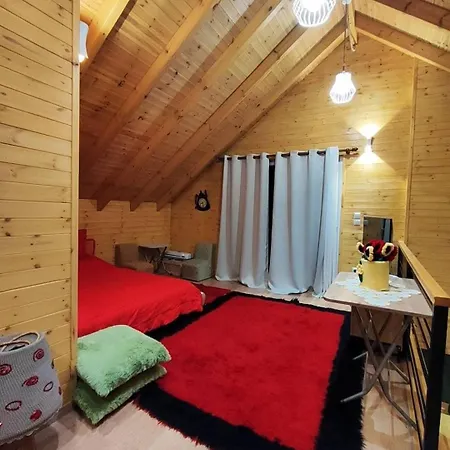 Affittacamere Farm-sarf Libohova